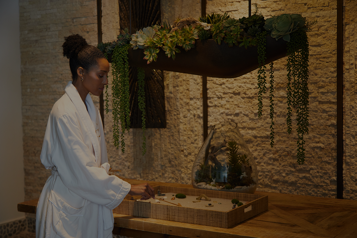 mental health spa services